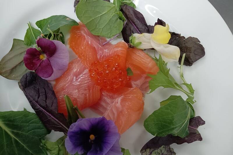 新鮮な食材